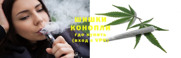 ПСИЛОЦИБИНОВЫЕ ГРИБЫ Балабаново