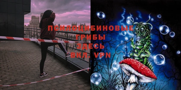 PSILOCYBIN Аркадак
